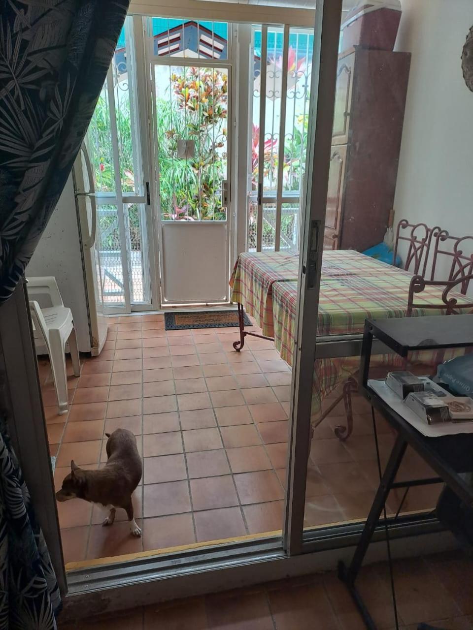 Appartement T2 Meuble Tout Confort Le Gosier  Kültér fotó